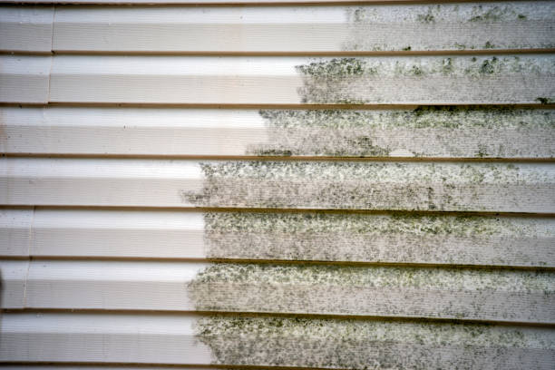 How To Choose The Right Materials for Your Siding Installation in 'Upland, CA